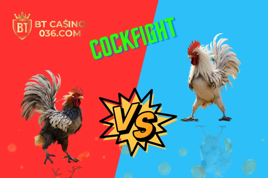 cockfight-036.com 